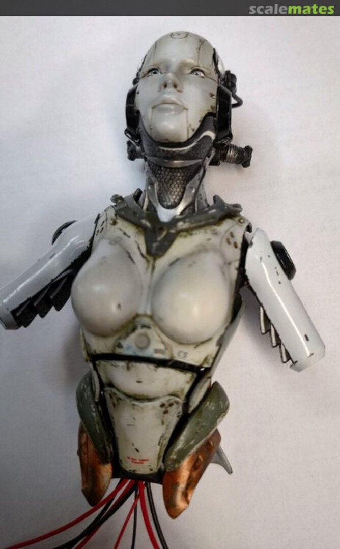 View album, image #1 View album, image #1