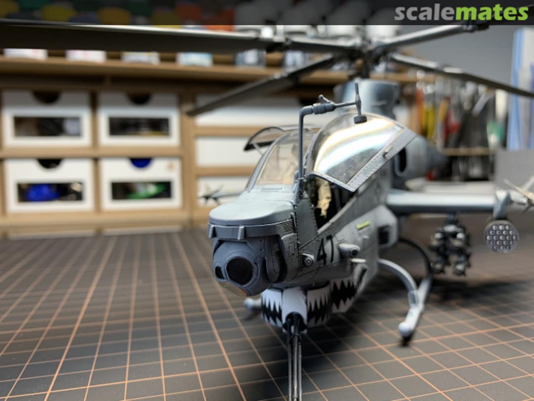 View album, image #1