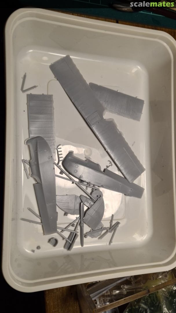 View album, image #1 View album, image #1