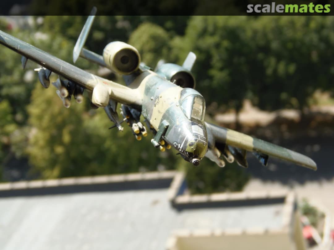 View album, image #1 View album, image #1