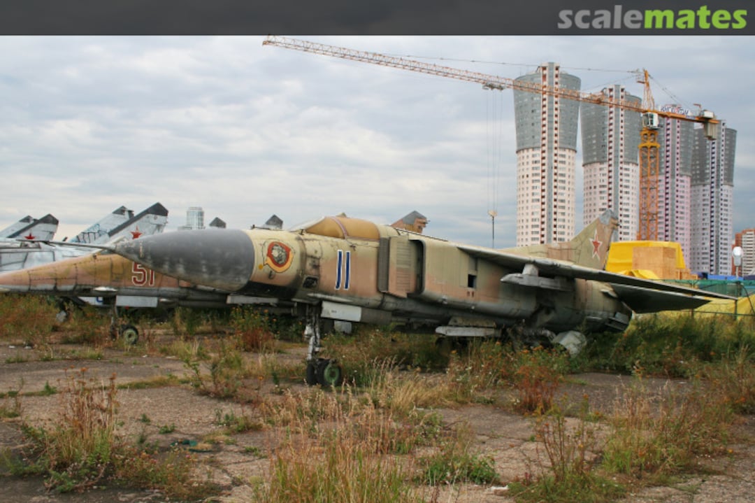 View album, image #1 View album, image #1