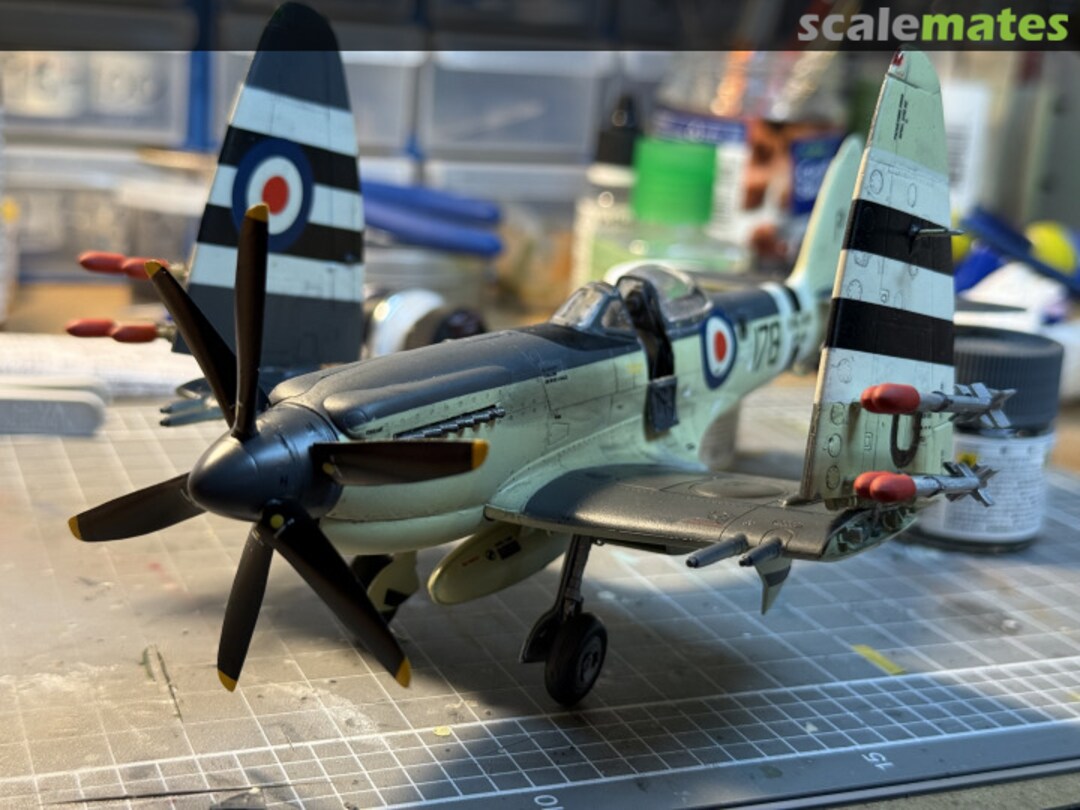 View album, image #1