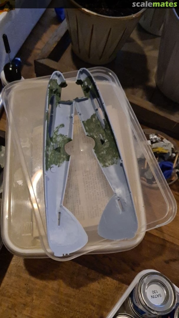 View album, image #1 View album, image #1