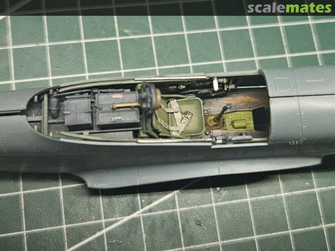 View album, image #5 View album, image #5