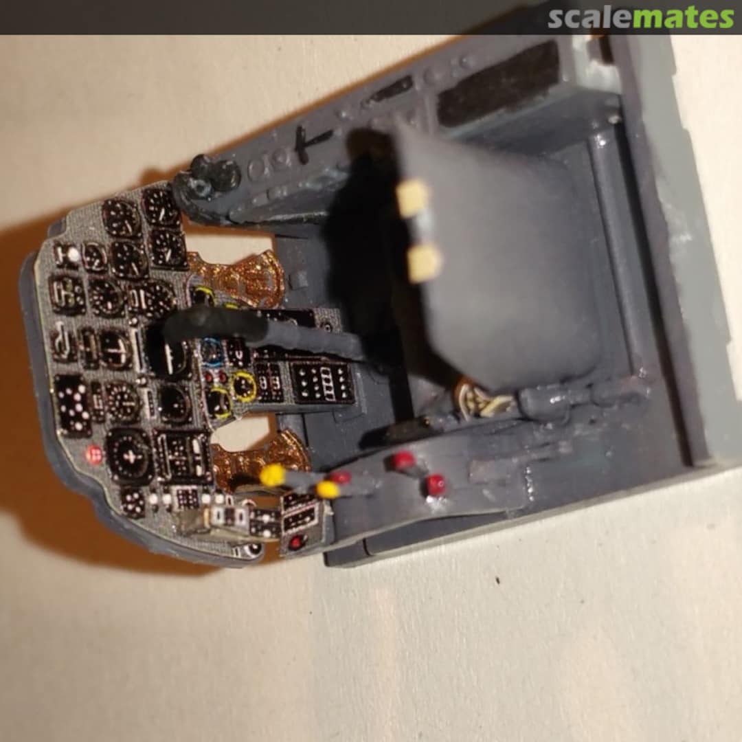 View album, image #1 View album, image #1