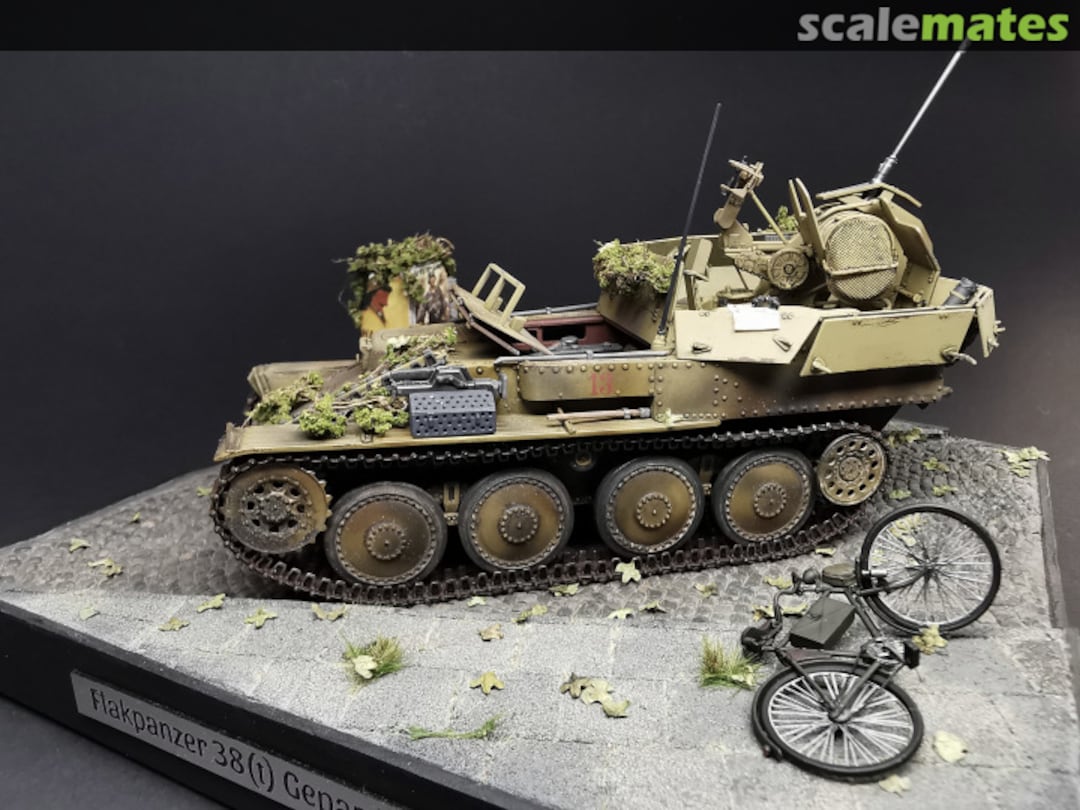 View album, image #1 View album, image #1