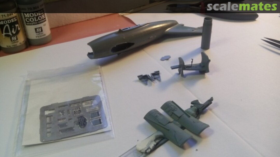 View album, image #1 View album, image #1