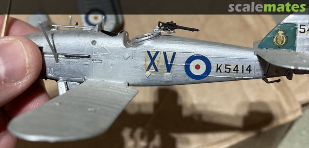 View album, image #1