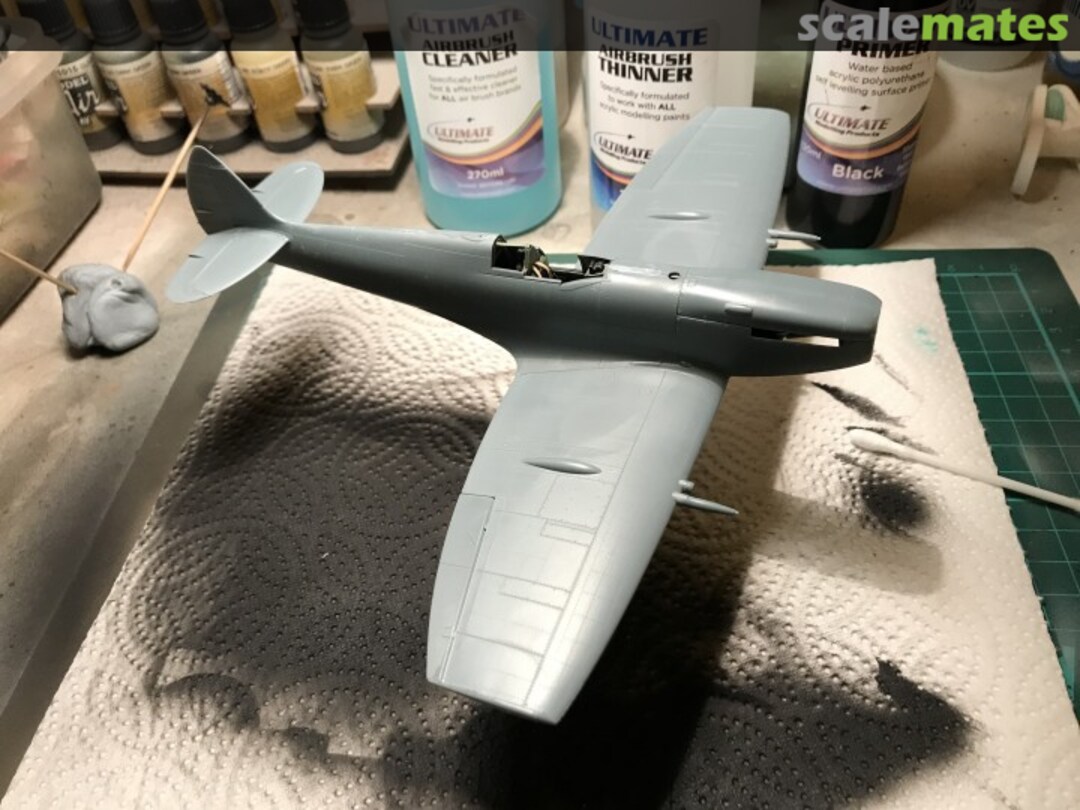 View album, image #21 View album, image #21