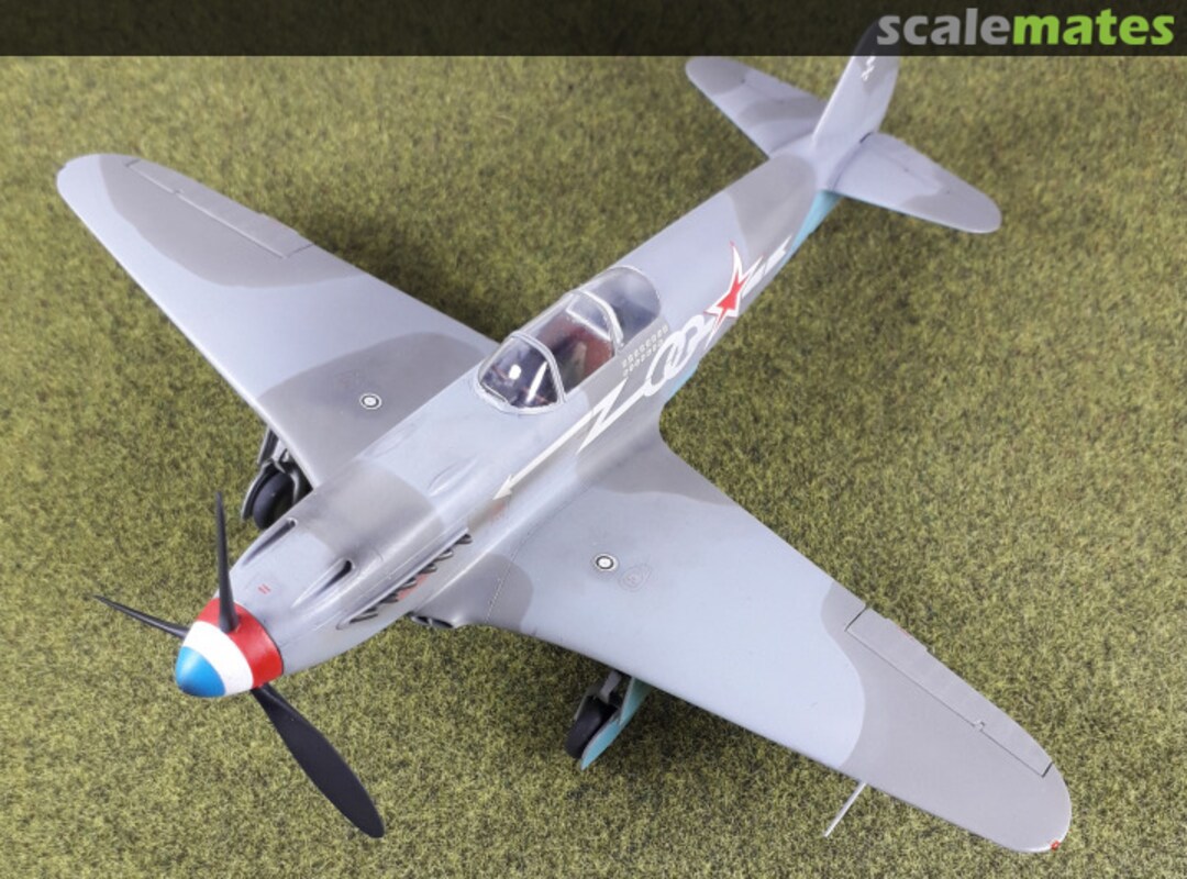 View album, image #1 View album, image #1