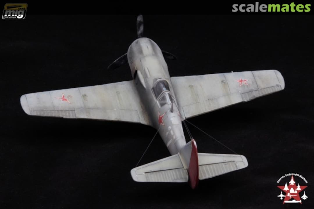 View album, image #1 View album, image #1