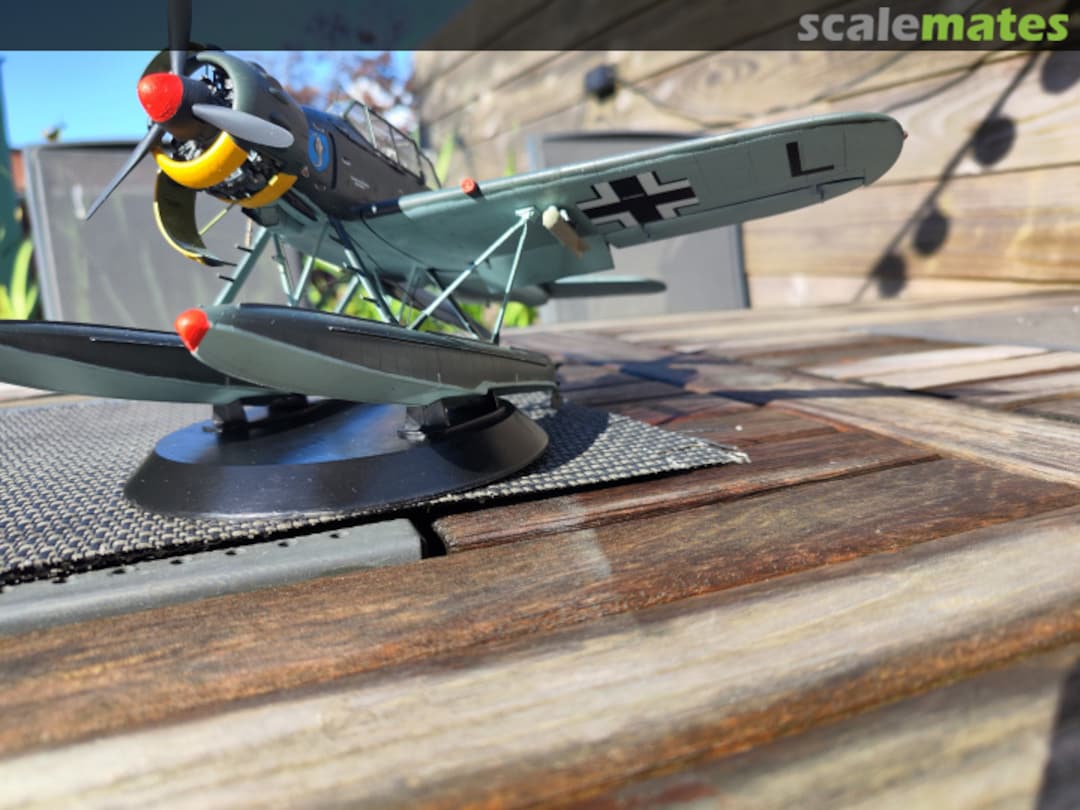 View album, image #7 View album, image #7