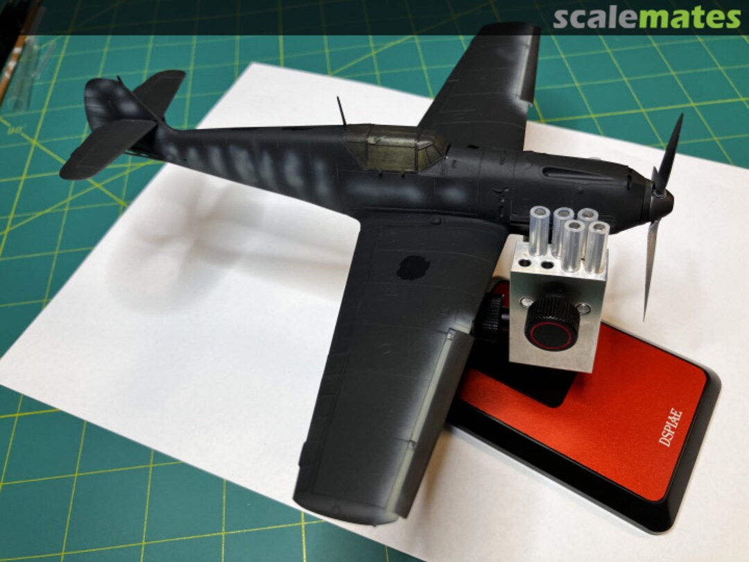 View album, image #11 View album, image #11