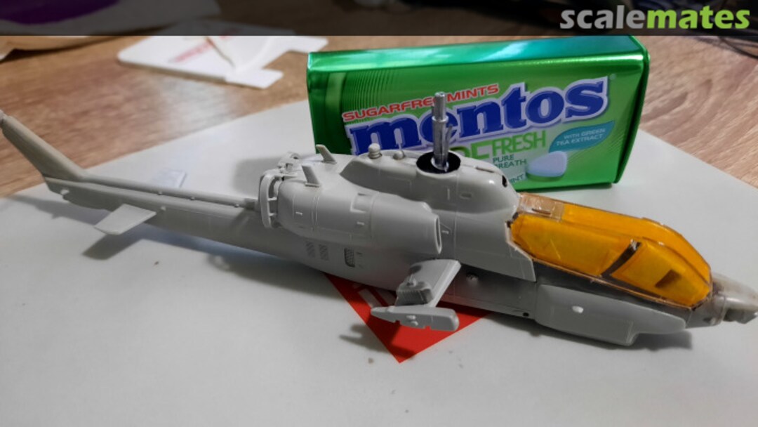 View album, image #1