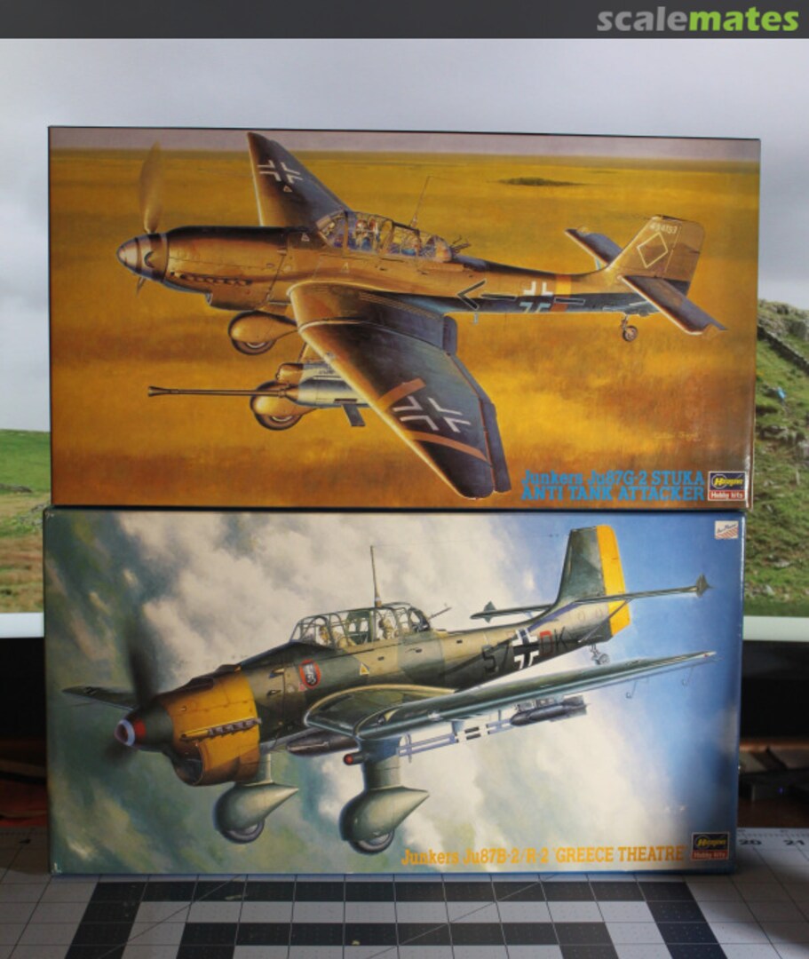 View album, image #1 View album, image #1