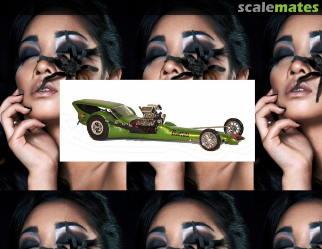 View album, image #1 View album, image #1