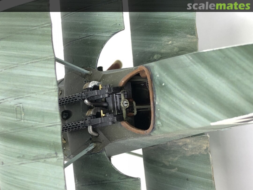 View album, image #1