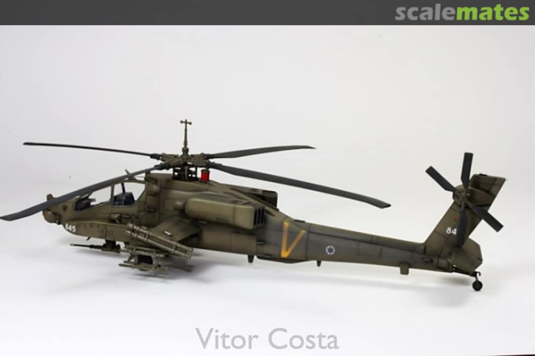 View album, image #1