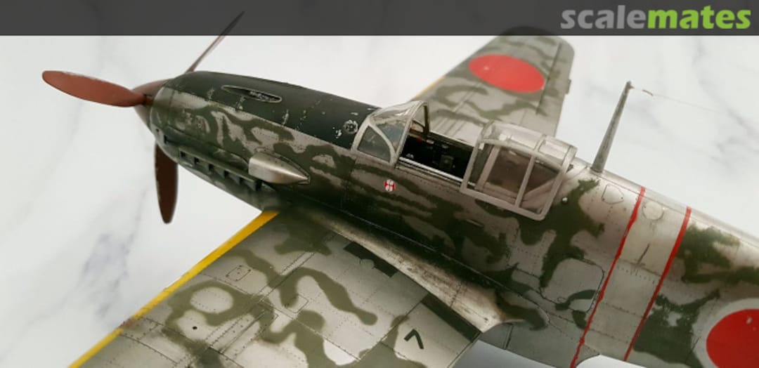 View album, image #1 View album, image #1