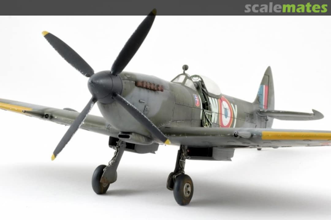 View album, image #5 View album, image #5