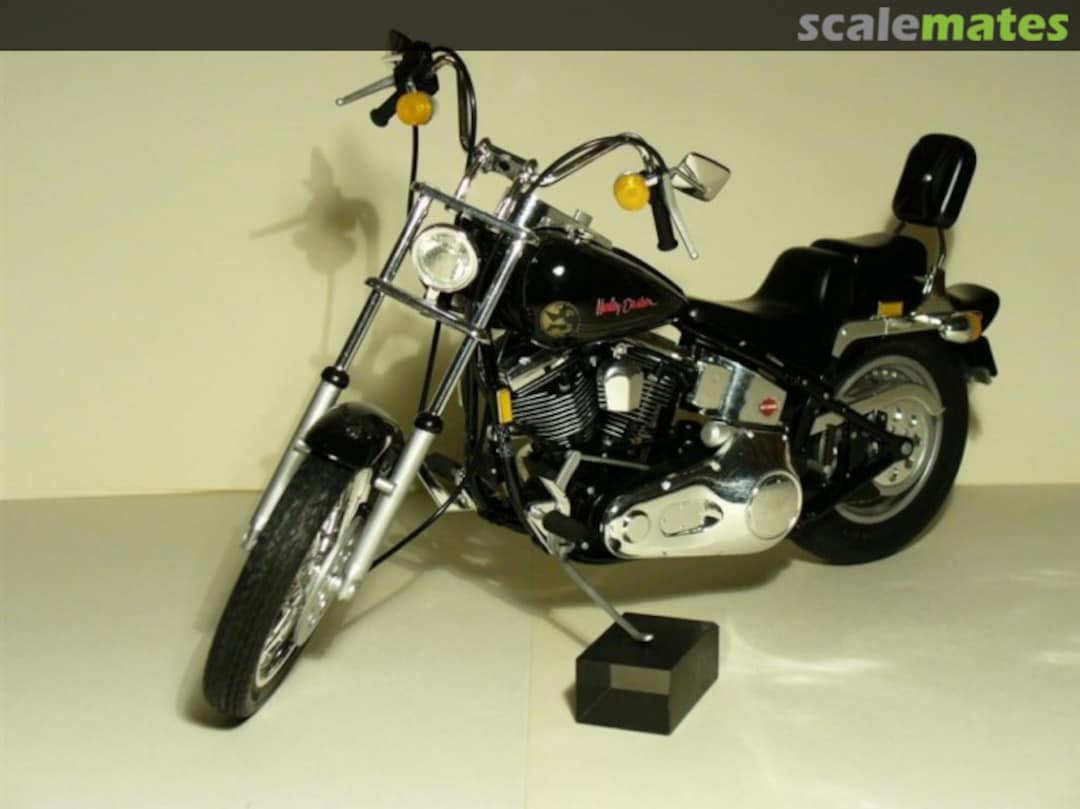 View album, image #1