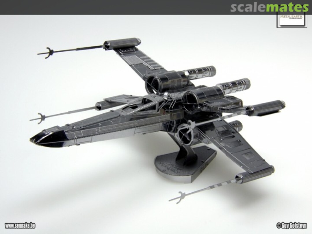 View album, image #1 View album, image #1