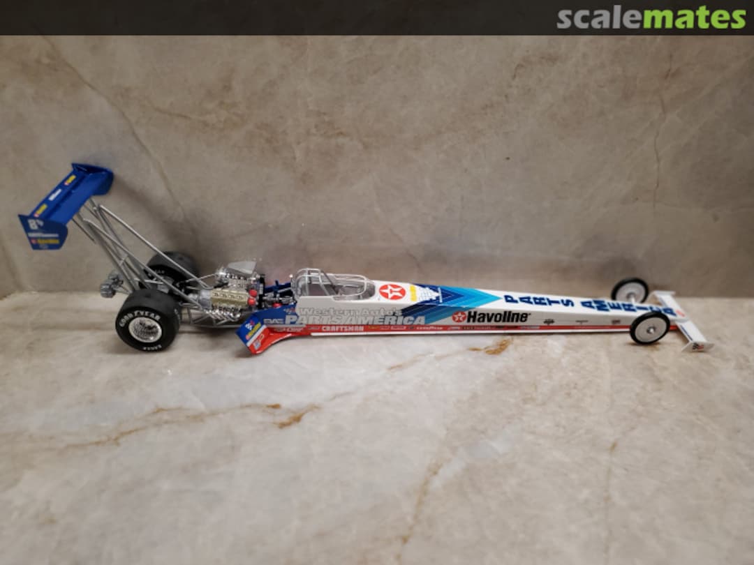 View album, image #5 View album, image #5