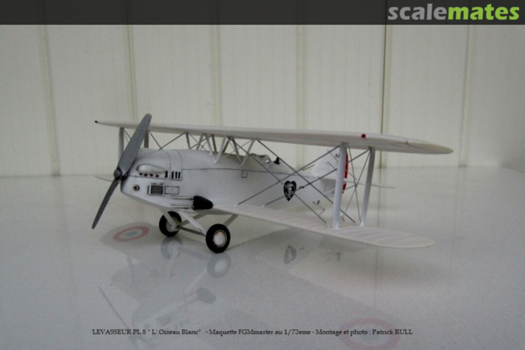 View album, image #1 View album, image #1