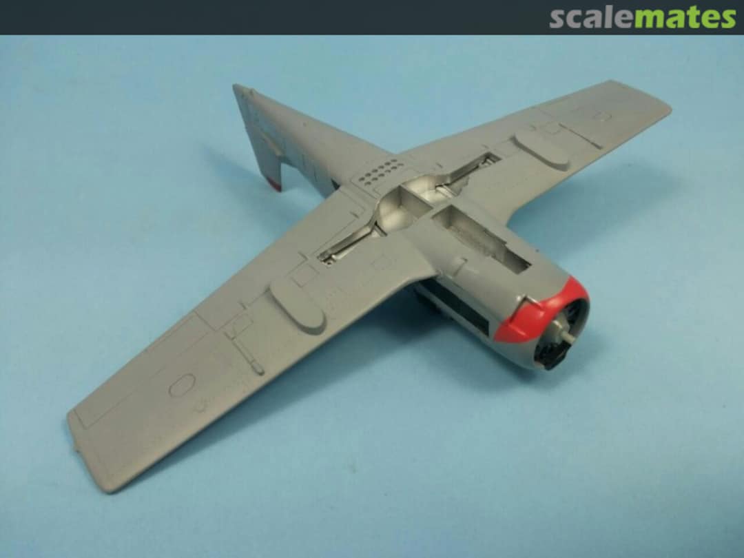 View album, image #1 View album, image #1