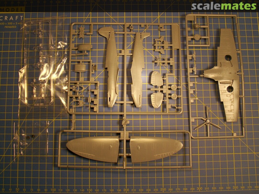 View album, image #2 View album, image #2