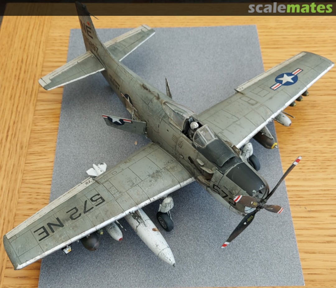 View album, image #1 View album, image #1