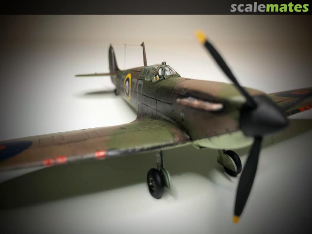 View album, image #24 View album, image #24