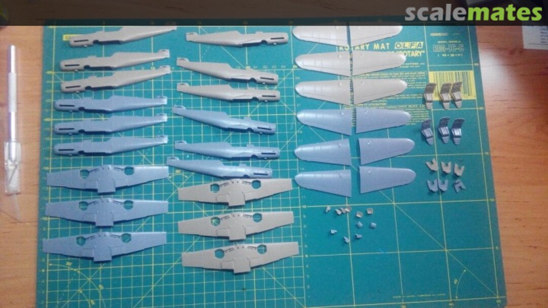 View album, image #1 View album, image #1