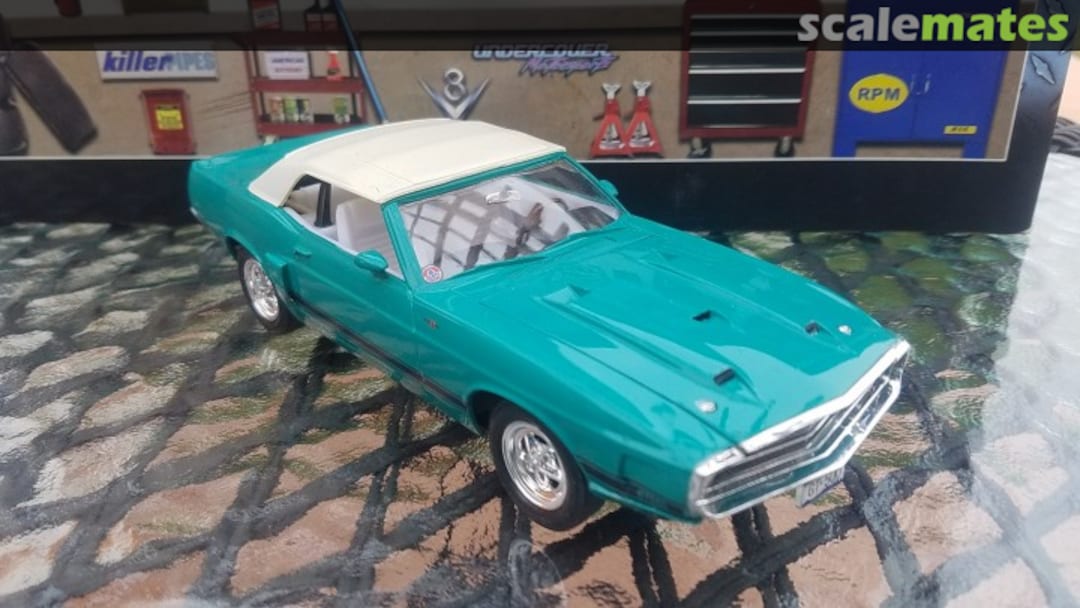 View album, image #1 View album, image #1