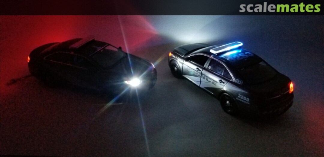 View album, image #5 View album, image #5