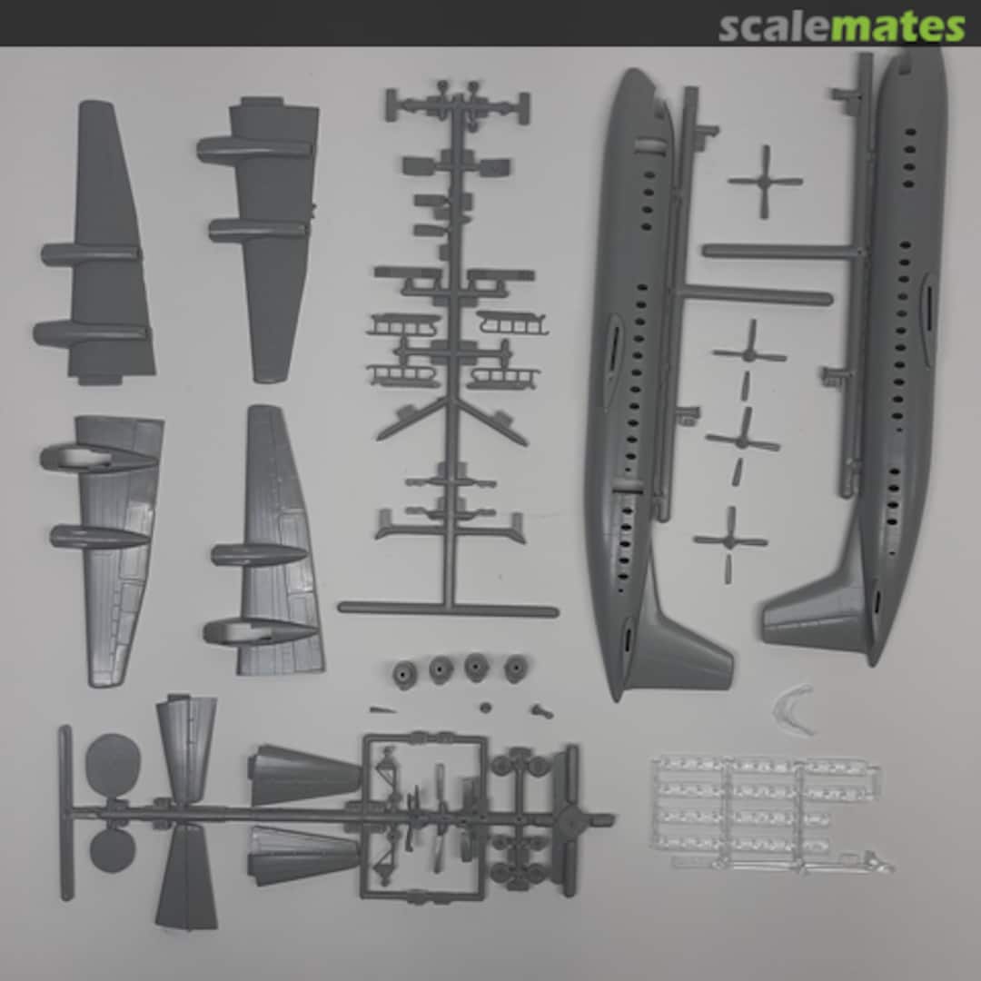 View album, image #1 View album, image #1