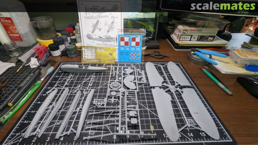 View album, image #1 View album, image #1