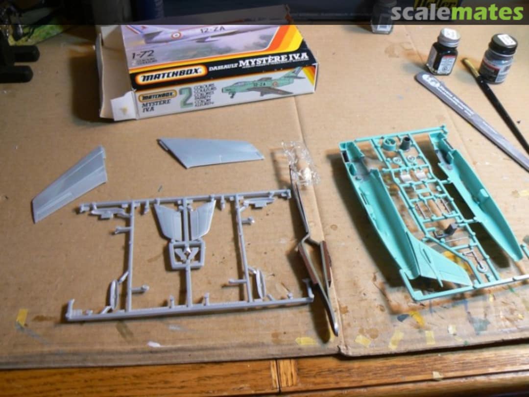 View album, image #1 View album, image #1