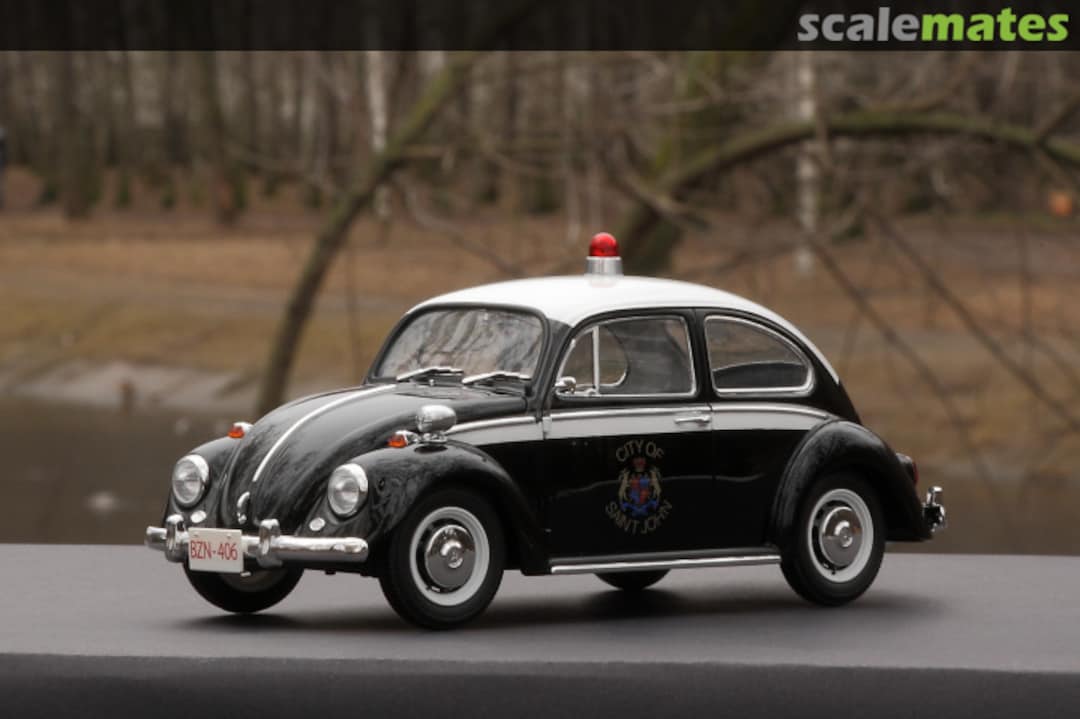 View album, image #1