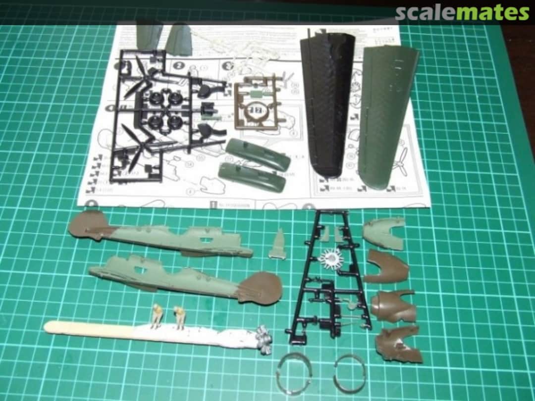 View album, image #1 View album, image #1