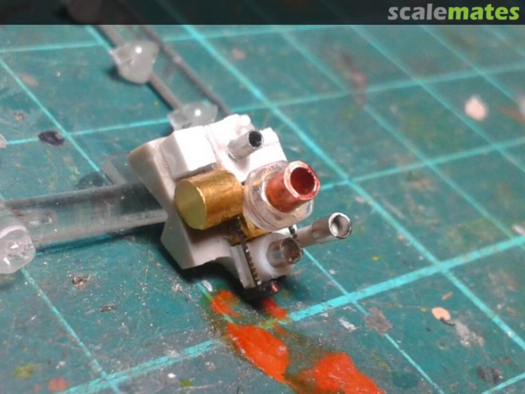 View album, image #1 View album, image #1