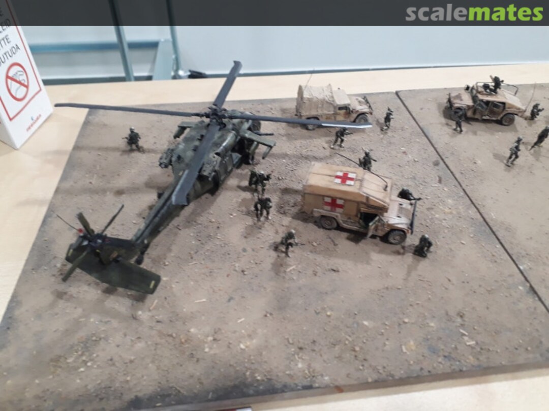 View album, image #18 View album, image #18