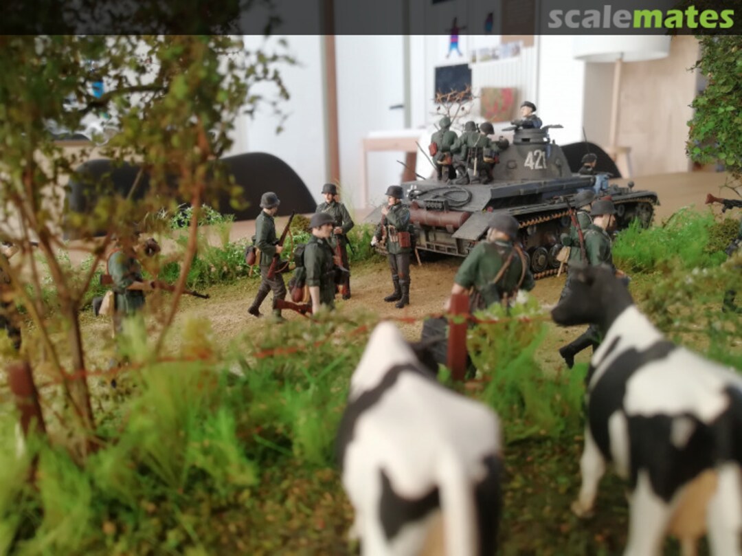 View album, image #3 View album, image #3