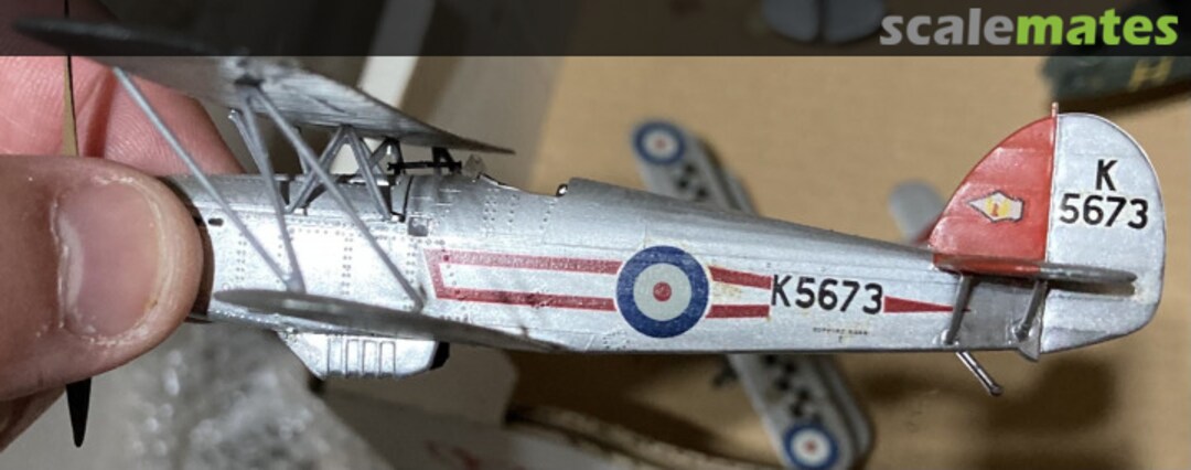 View album, image #1 View album, image #1