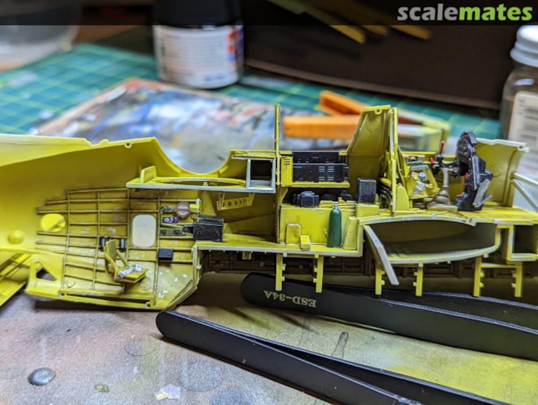 View album, image #1 View album, image #1