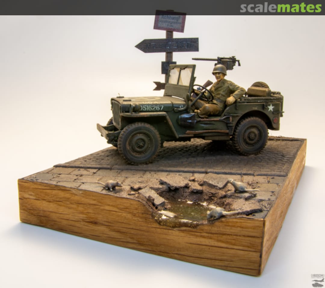 View album, image #3