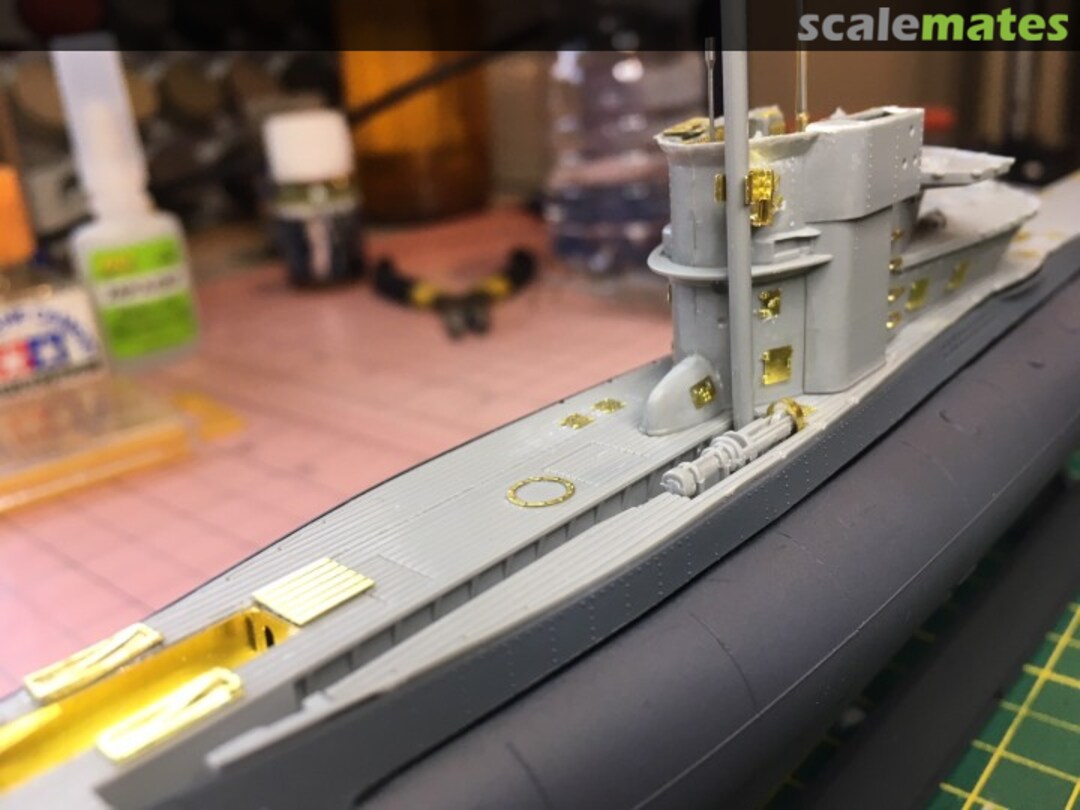 View album, image #13 View album, image #13