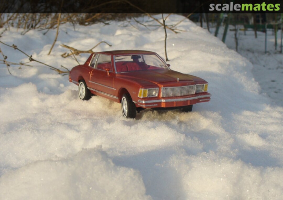 View album, image #2 View album, image #2