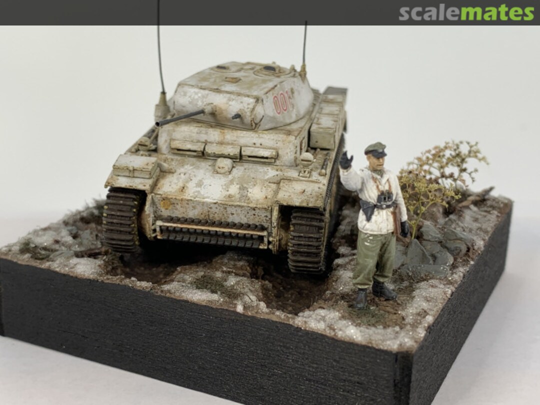 View album, image #30 View album, image #30