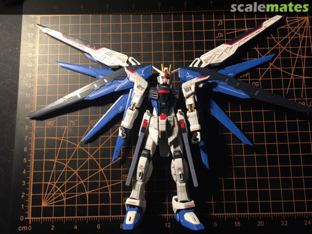 View album, image #1 View album, image #1